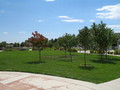 One of Many.... Community Parks One of Many.... Community Parks